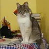 Отзыв от Дарья Гусева